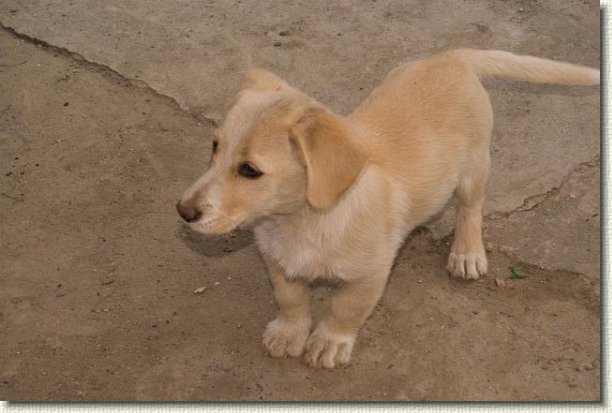 Next slide